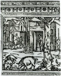 En gård, illustration från 
